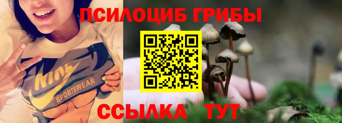 Дмитров  Галлюциногенные грибы Magic Shrooms  Галлюциногенные грибы Cubensis  Вход с VPN 
